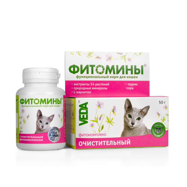 Корм Для Кошек Тюмень Интернет Магазин